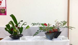 h28玉名花展作品