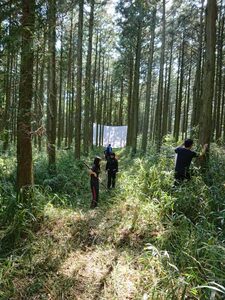 西原村ボランティアキャンプ山