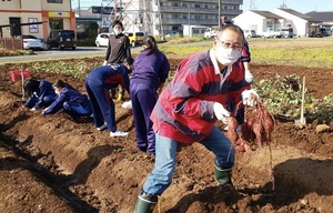 芋掘り教頭先生