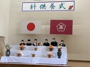 r2針供養4